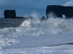 DSC9537